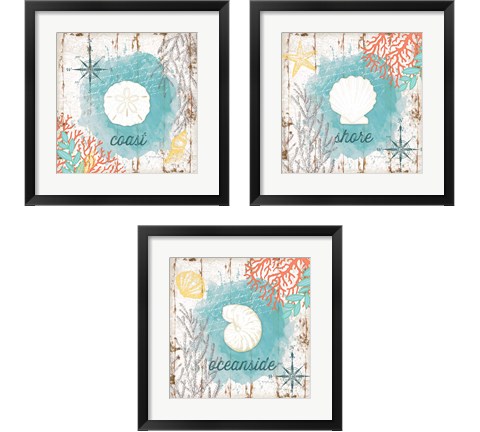 Beach Shell 3 Piece Framed Art Print Set by Jennifer Pugh