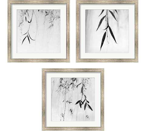 Willow Print 3 Piece Framed Art Print Set by Nicholas Bell