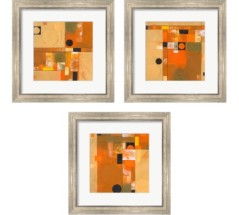 Soleil  3 Piece Framed Art Print Set by Deborah Colter