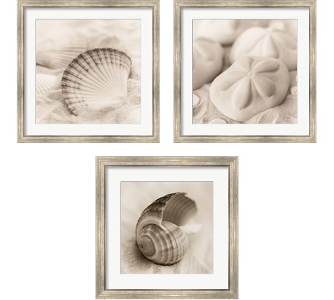 La Mer 3 Piece Framed Art Print Set by Alan Blaustein