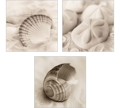 La Mer 3 Piece Art Print Set by Alan Blaustein