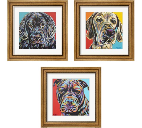 Canine Buddy 3 Piece Framed Art Print Set by Carolee Vitaletti