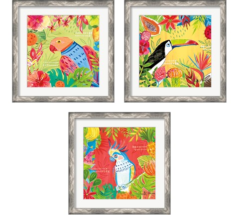 Tutti Frutti  3 Piece Framed Art Print Set by Farida Zaman