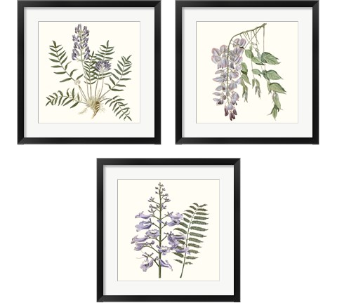 Graceful Botanical 3 Piece Framed Art Print Set by Vision Studio