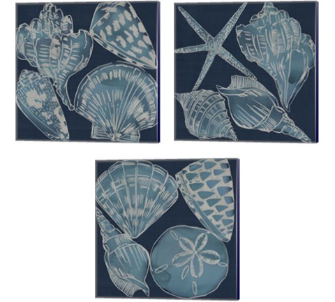 Marine Shells 3 Piece Canvas Print Set by Chariklia Zarris