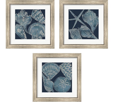 Marine Shells 3 Piece Framed Art Print Set by Chariklia Zarris