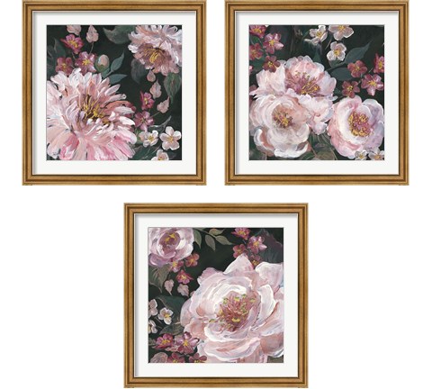 Romantic Moody Florals on Black 3 Piece Framed Art Print Set by Tre Sorelle Studios