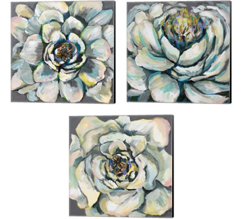 Bloom 3 Piece Canvas Print Set by Jeanette Vertentes