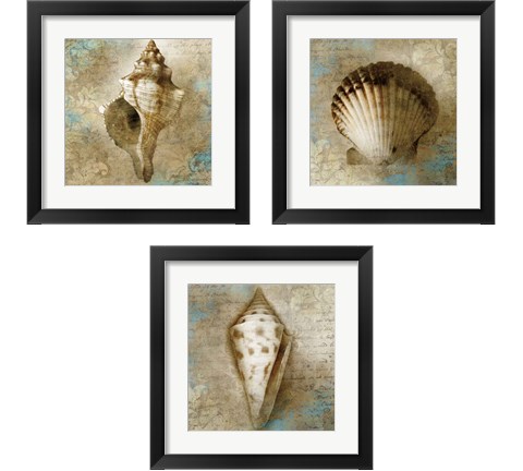 Ocean Treasures 3 Piece Framed Art Print Set by Keith Mallett