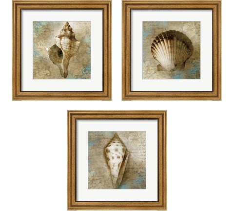 Ocean Treasures 3 Piece Framed Art Print Set by Keith Mallett