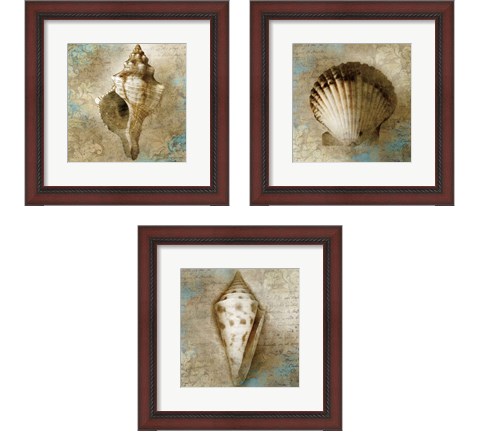 Ocean Treasures 3 Piece Framed Art Print Set by Keith Mallett