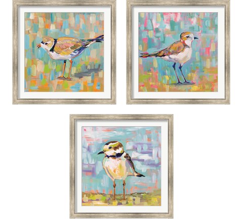 Coastal Plover 3 Piece Framed Art Print Set by Jeanette Vertentes