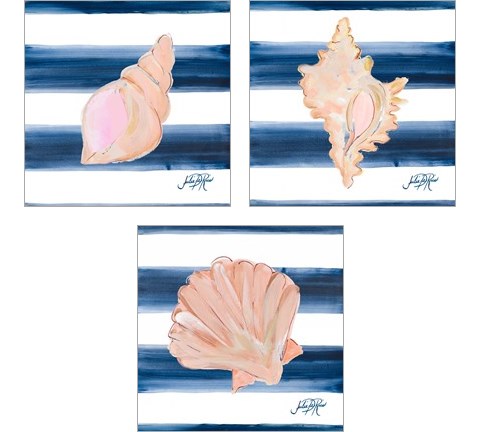 Nautical Shell 3 Piece Art Print Set by Julie DeRice