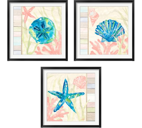 Pastel Coastal 3 Piece Framed Art Print Set by Julie DeRice