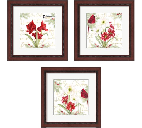 Merry Amaryllis 3 Piece Framed Art Print Set by Tara Reed