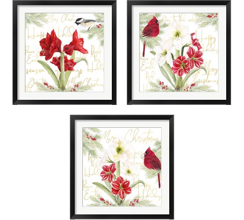 Merry Amaryllis 3 Piece Framed Art Print Set by Tara Reed