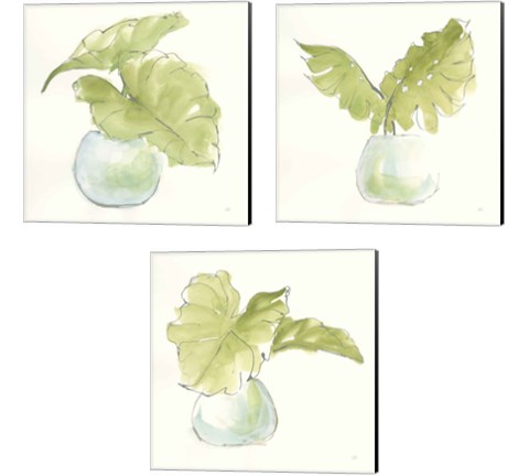 Plant Big Leaf 3 Piece Canvas Print Set by Chris Paschke