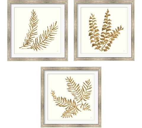 Gilded Fern 3 Piece Framed Art Print Set by Chris Paschke