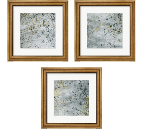 Seasonal Transition 3 Piece Framed Art Print Set by Sharon Chandler