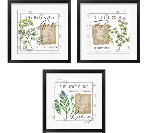 Herb Guide 3 Piece Framed Art Print Set by Jennifer Pugh