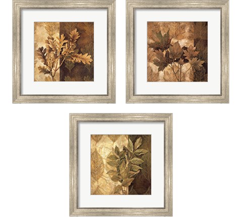 Leaf Patterns 3 Piece Framed Art Print Set by Linda Thompson