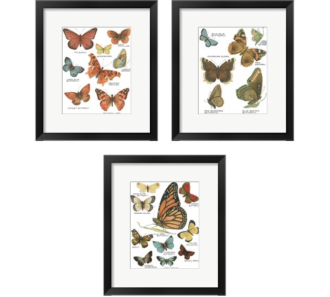 Botanical Butterflies Postcard White 3 Piece Framed Art Print Set by Wild Apple Portfolio