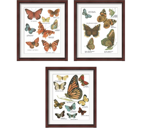 Botanical Butterflies Postcard White 3 Piece Framed Art Print Set by Wild Apple Portfolio