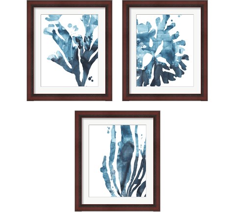 Inkwash Kelp 3 Piece Framed Art Print Set by June Erica Vess