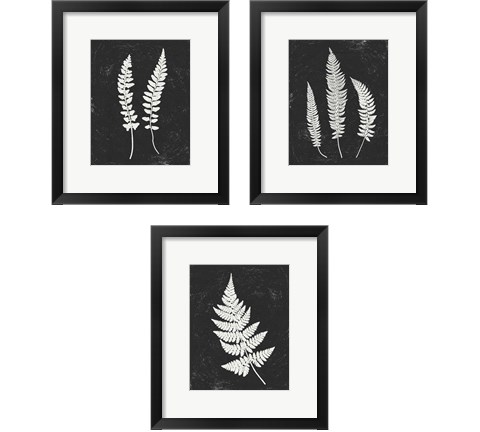 Forest Shadows Black 3 Piece Framed Art Print Set by Moira Hershey