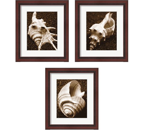 Sea Gallery 3 Piece Framed Art Print Set by Boyce Watt