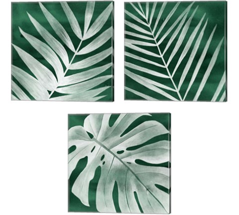 Velvet Palm 3 Piece Canvas Print Set by Grace Popp