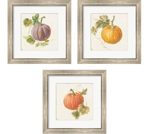 Floursack Autumn 3 Piece Framed Art Print Set by Danhui Nai