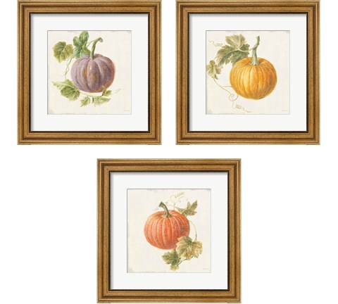 Floursack Autumn 3 Piece Framed Art Print Set by Danhui Nai