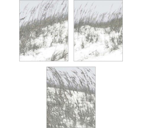 Lush Dunes 3 Piece Art Print Set by Sharon Chandler