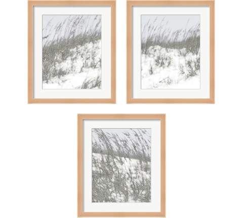 Lush Dunes 3 Piece Framed Art Print Set by Sharon Chandler