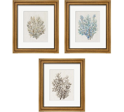 Leaf Arrangement 3 Piece Framed Art Print Set by Timothy O'Toole