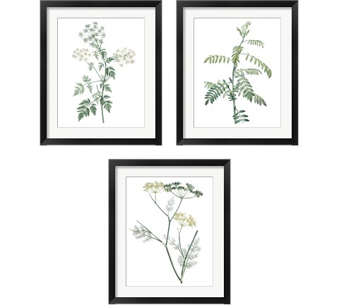 Soft Green Botanical 3 Piece Framed Art Print Set by Vision Studio