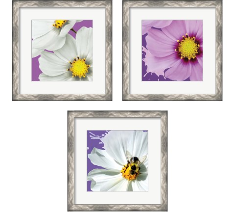 Flower Pop 3 Piece Framed Art Print Set by Marie-Elaine Cusson