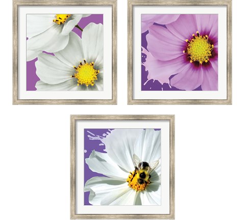 Flower Pop 3 Piece Framed Art Print Set by Marie-Elaine Cusson