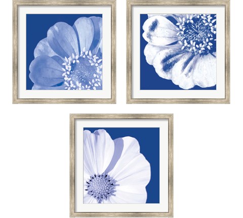 Flower Pop blue 3 Piece Framed Art Print Set by Marie-Elaine Cusson