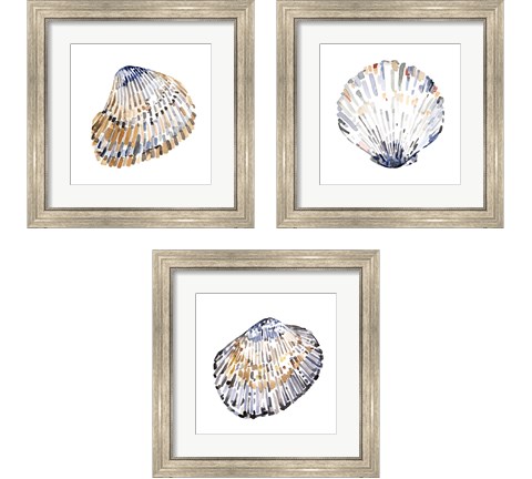 Simple Shells 3 Piece Framed Art Print Set by Emma Caroline