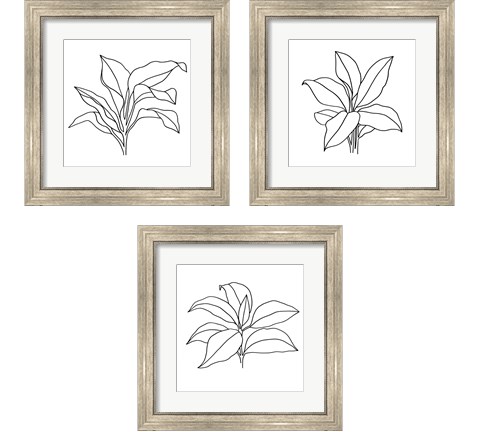 Foliage Contour 3 Piece Framed Art Print Set by Annie Warren