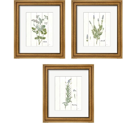 Cottage Herbs 3 Piece Framed Art Print Set by Sue Schlabach