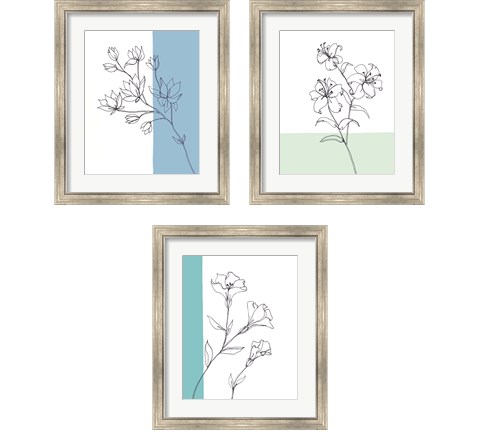 Sweet Stems 3 Piece Framed Art Print Set by Regina Moore