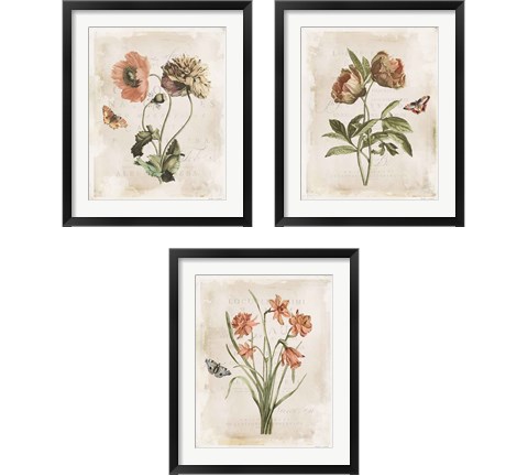 Antiquarian Blooms 3 Piece Framed Art Print Set by Katie Pertiet