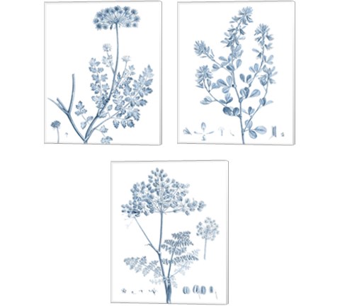 Antique Botanical in Blue 3 Piece Canvas Print Set by Vision Studio