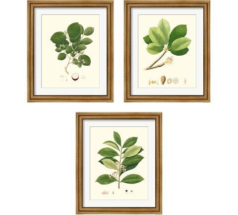 Spring Green Foliage 3 Piece Framed Art Print Set