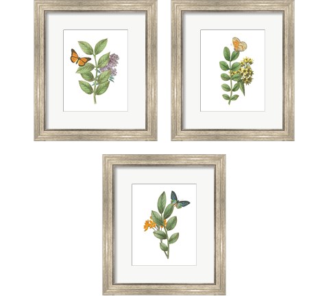 Greenery Butterflies 3 Piece Framed Art Print Set by Wild Apple Portfolio