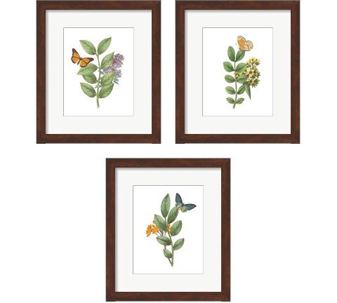 Greenery Butterflies 3 Piece Framed Art Print Set by Wild Apple Portfolio