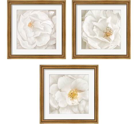 Neutral Rose 3 Piece Framed Art Print Set by Ramona Murdock